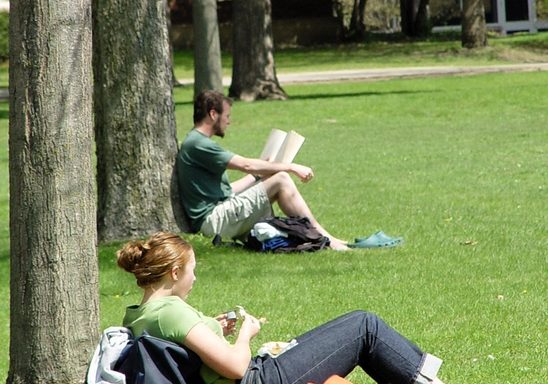 Students studying on the Bald Spot