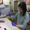 A student works in a biology lab