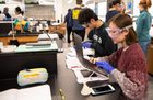 Students work in a chemistry lab