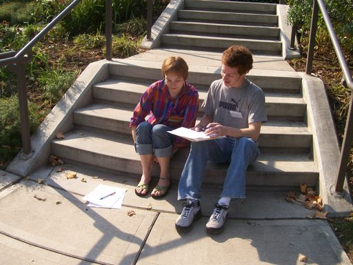 Writing Consultants 2008-09