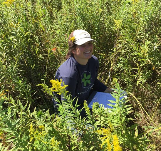 Field Biology in the Arb