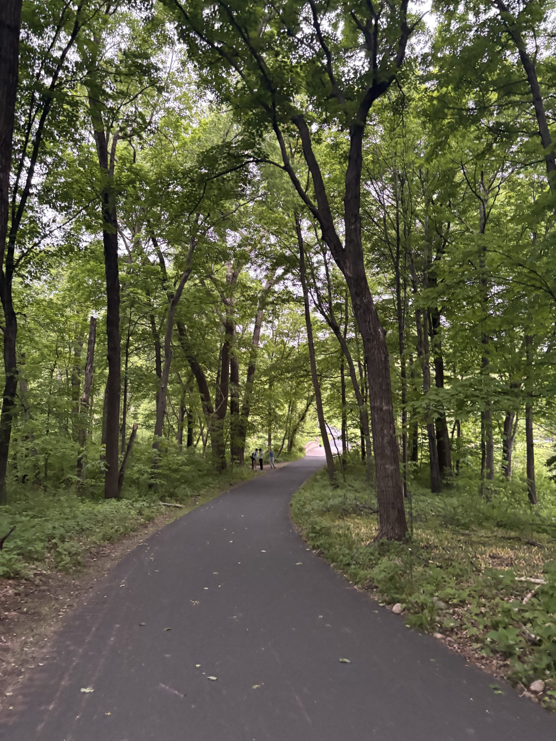 the arb in the spring