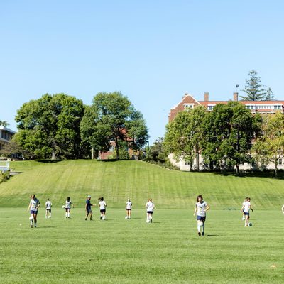 soccer plays practicing on a field