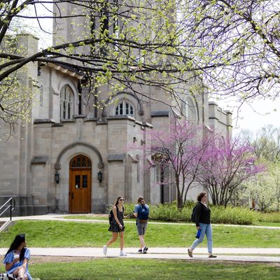 Outdoor class in spring