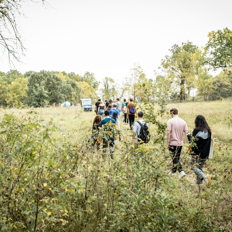 tree planting