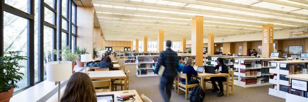 Students work in the library