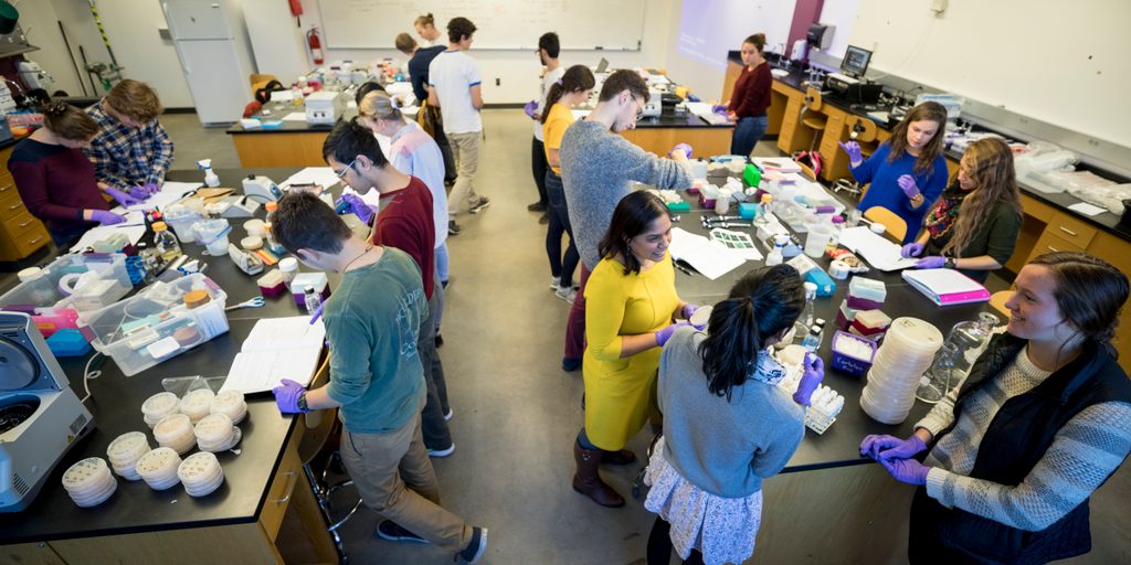 Students and a professor work in a biology lab