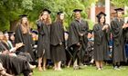 A line of students in graduation caps and gowns