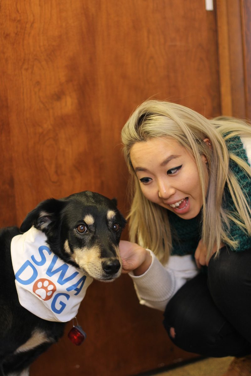 A student smiles and pets a therapy dog.