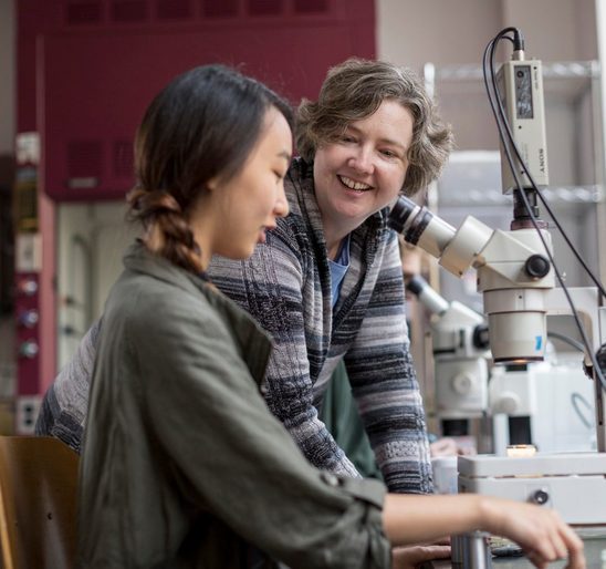 Student-Faculty Research