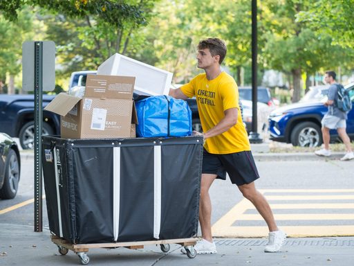 cart and boxes move in