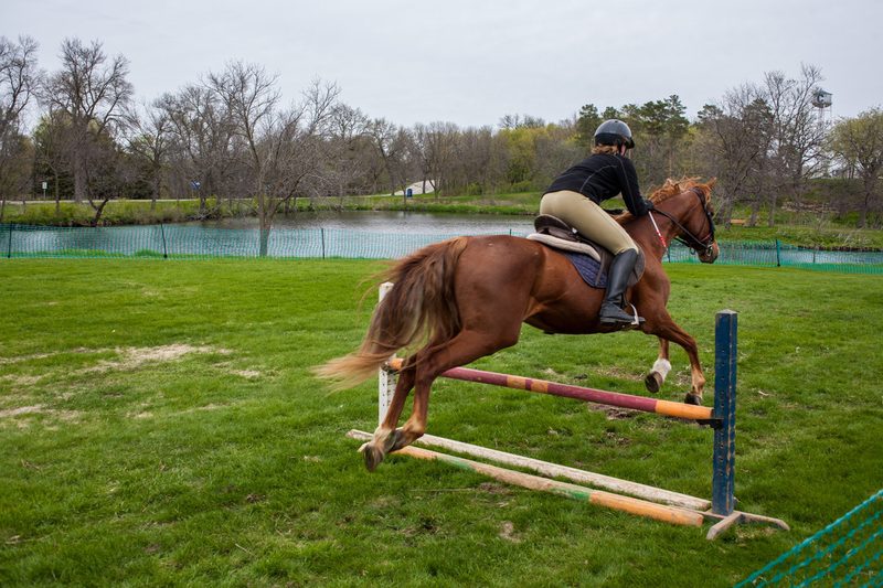 A horse and rider mid-air over a jump, as seen from behind