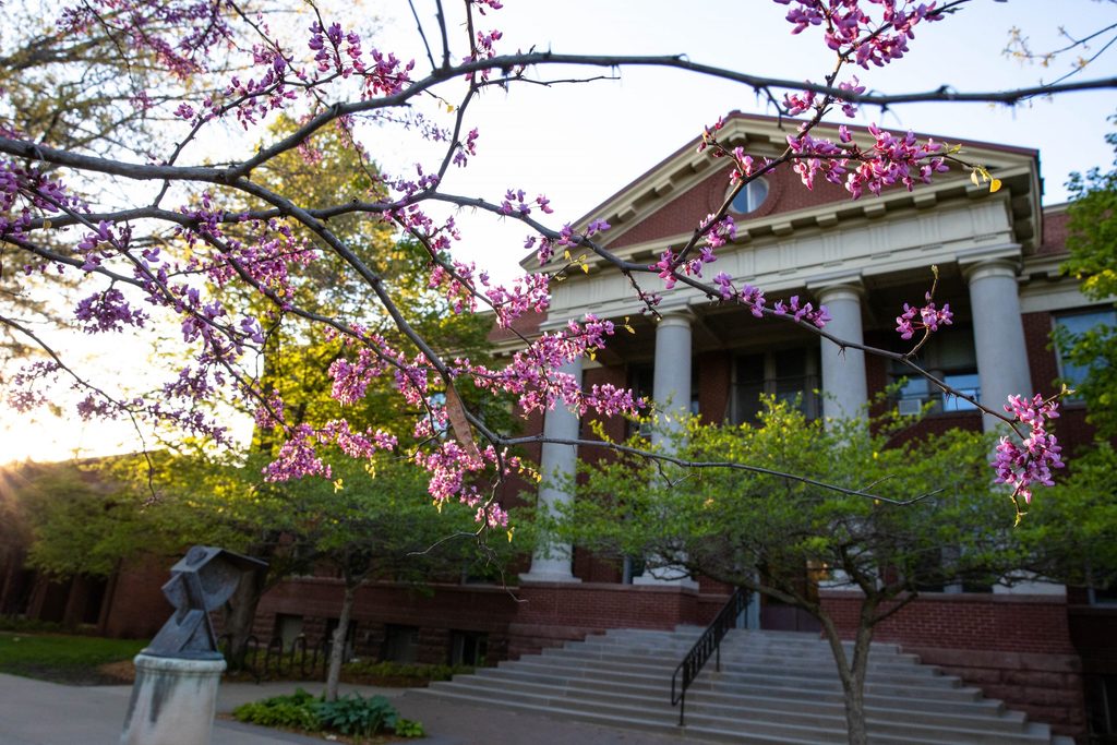 Flowering tree in front of Laird Hall on a sunny spring day