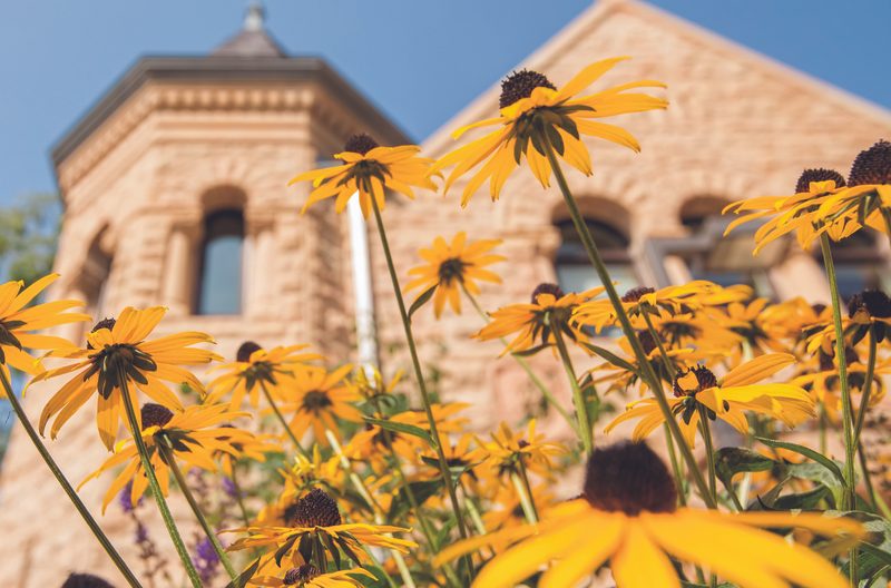 Flowers outside Scoville