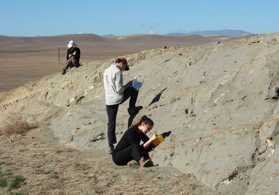 Research opportunities