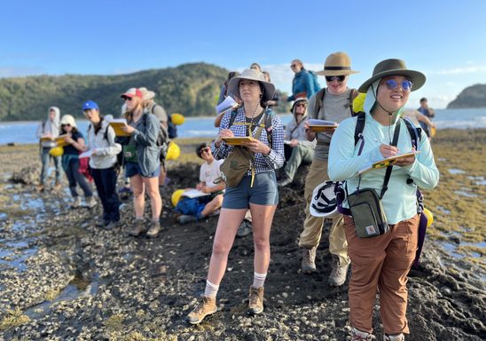 Geology in New Zealand