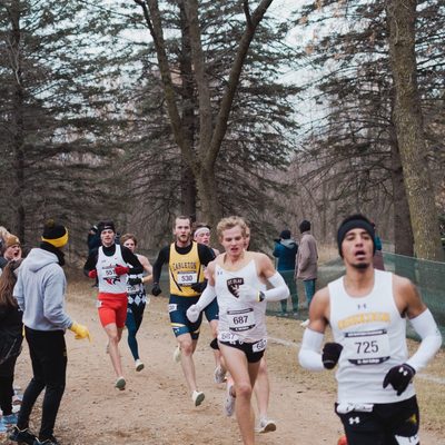 Runners on a trail in the forest