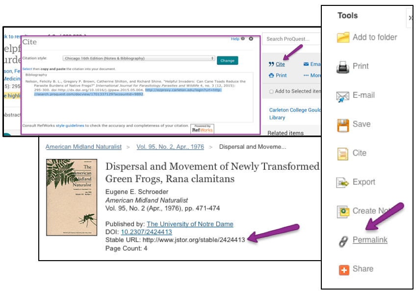 Examples of stable URLs in library databases.