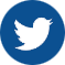 Twitter icon