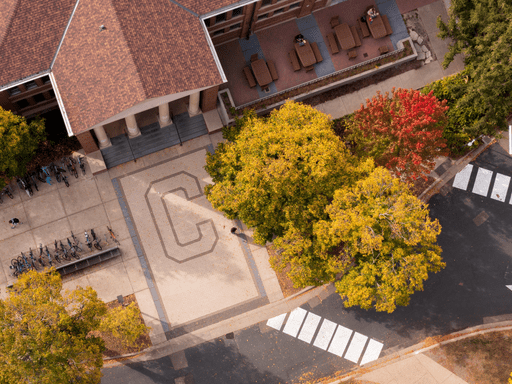 aerial view of Carleton 
