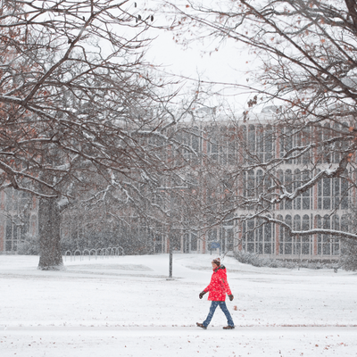 first_snow