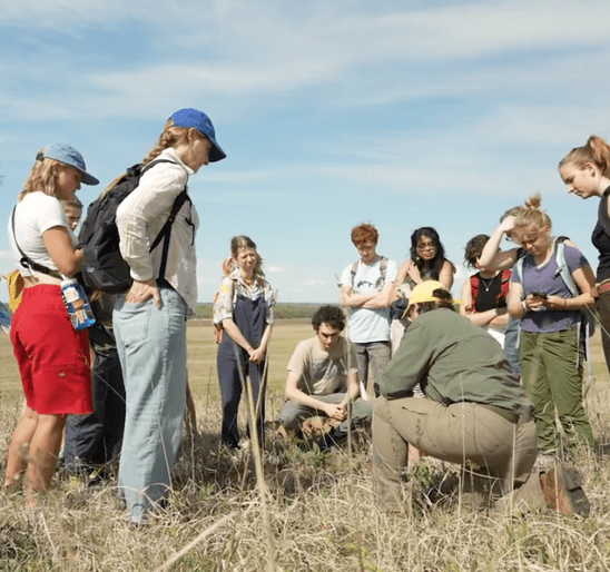 Sense of Place: Art and Ecology in Tallgrass Prairie